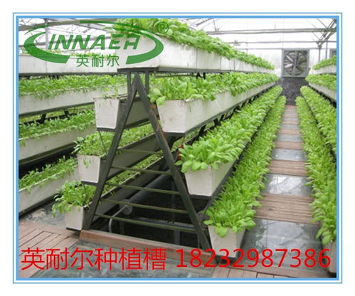 新型草莓種植槽與番茄基質(zhì)槽 蔬菜專(zhuān)用槽的價(jià)格、圖片與批發(fā)指南